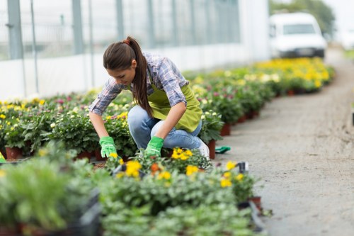 Team member sorting garden waste into compost and recycling bins