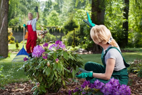 Front view of a gardener assessing a garden area