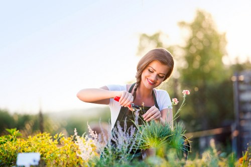 Professional gardener inspecting a tree for lopping