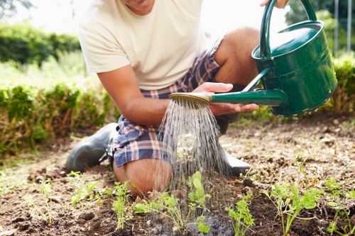 Person using a screen reader on a laptop with gardening images nearby