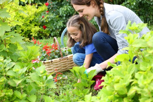 Beautifully maintained garden with diverse plants