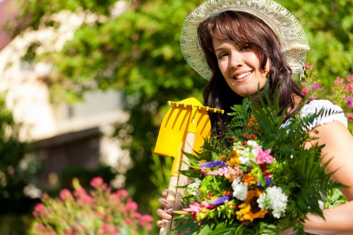 Healthy trimmed hedge showcasing best practices