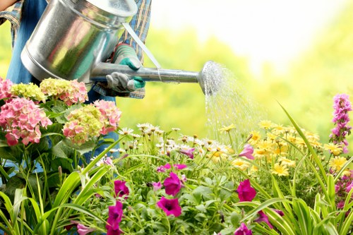 Water feature in a landscaped garden with surrounding flora