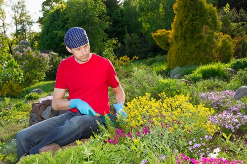 Lush green garden with various plants