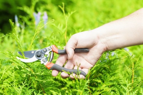 Friendly gardening team at GreenThumb Gardens