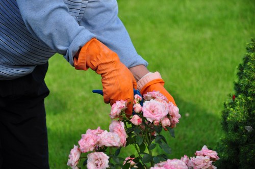 Team of gardeners working on landscape design