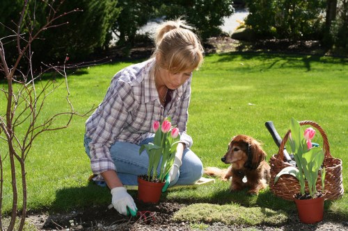 Volunteers and charity partners repurposing pots and soil for community gardens