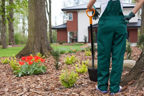 Step-by-step hedge trimming process in a garden