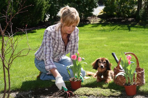 Natural pest control methods in a lush garden