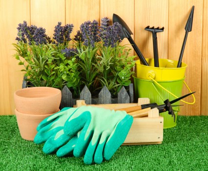 Gardener assessing garden space for landscaping