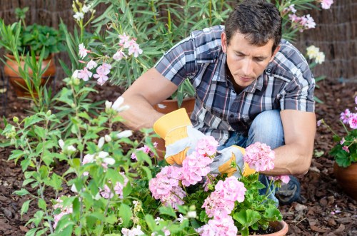 Healthy and maintained garden post-clearance