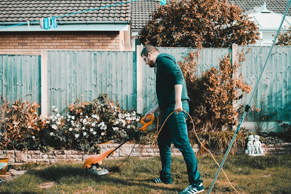 A well-maintained garden scene featuring a neatly mown lawn with vibrant green grass, bordered by garden beds filled with a variety of plants including flowering shrubs and perennial flowers in bloom.